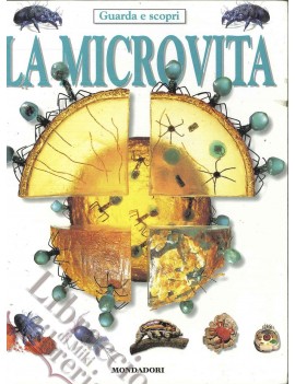 LA MICROVITA