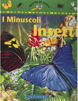 MINUSCOLI INSETTI