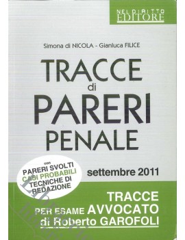 TRACCE DI PARERI. PENALE