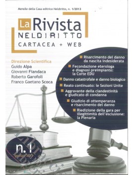 LA RIVISTA NELDIRITTO 1/2013