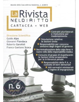 LA RIVISTA NEL DIRITTO 6/2013