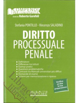 DIRITTO PROCESSUALE PENALE  2013