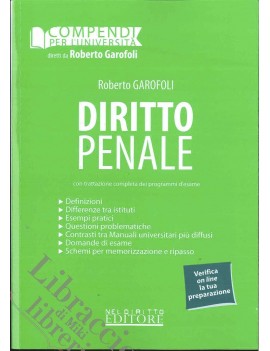 DIRITTO PENALE