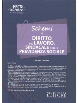 SCHEMI DI DIRITTO DELLAVORO SINDACALE E