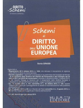 SCHEMI DI DIRITTO DELL'UNIONE EUROPEA