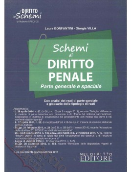 SCHEMI DI DIRITTO PENALE parte generale