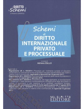 SCHEMI DI DIRITTO INTERNAZIONALE PRIVATO