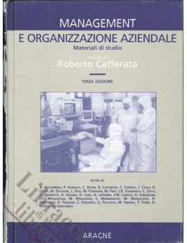 MANAGEMENT E ORGANIZZAZIONE AZIENDALE