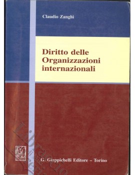 DIRITTO DELLE ORGANIZZAZIONI INTERNAZION