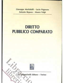 DIRITTO PUBBLICO COMPARATO 2004