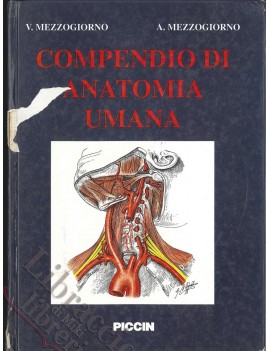 COMPENDIO DI ANATOMIA UMANA