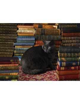 LIBRARY PUZZLE CAT 1000 pz