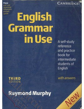 ENGLISH GRAMMAR IN USE THIRD EDITION