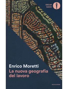 NUOVA GEOGRAFIA DEL LAVORO (LA)