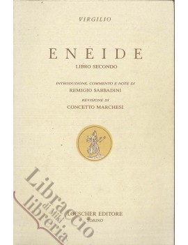 ENEIDE libro secondo