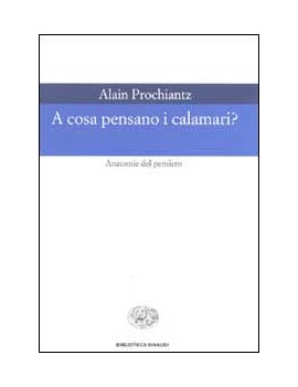 A COSA PENSANO I CALAMARI ?. ANATOMIE DE