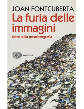 FURIA DELLE IMMAGINI. NOTE SULLA POSTFOT