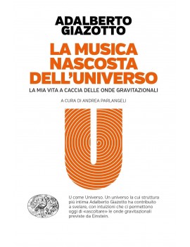 MUSICA NASCOSTA DELL'UNIVERSO. LA MIA VI