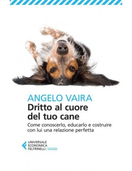 DRITTO AL CUORE DEL TUO CANE. COME CONOS