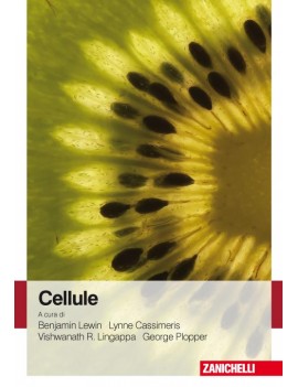 CELLULE