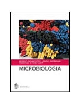 MICROBIOLOGIA