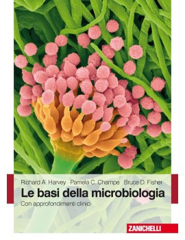 LE BASI DELLA MICROBIOLOGIA