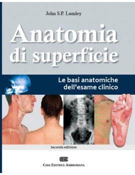 Anatomia di superficie, le basi anatomic