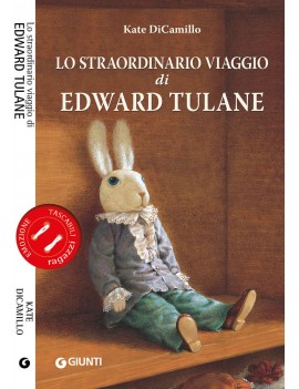 STRAORDINARIO VIAGGIO DI EDWARD TULANE (