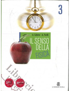 SENSO DELLA FISICA 3