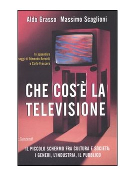 CHE COS'È LA TELEVISIONE. IL PICCOLO SCH