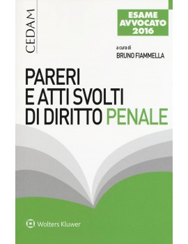 PARERI E ATTI SVOLTI DI DIRITTO PENALE