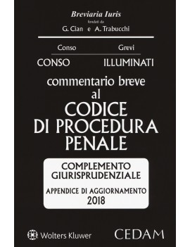 APPENDICE AGGIORNAMENTO CODICE PROCEDURA