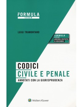 CODICI CIVILE E PENALE 2020