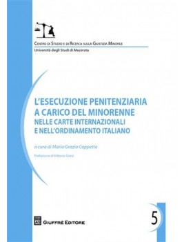 L'ESECUZIONE PENITENZIARIA A CARICO DEL