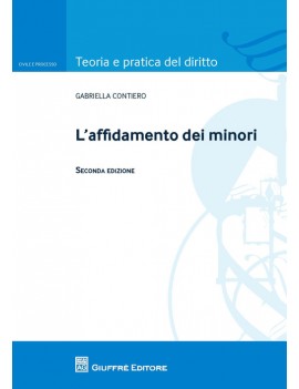 AFFIDAMENTO DEI MINORI