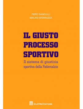 IL GIUSTO PROCESSO