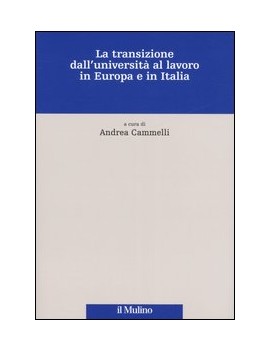 TRANSIZIONE DALL'UNIVERSIT? AL LAVORO IN