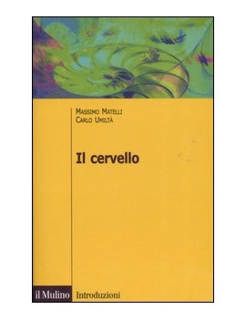 CERVELLO. ANATOMIA E FUNZIONE DEL SISTEM