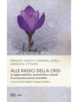 ALLE RADICI DELLA CRISI. LE RAGIONI POLI