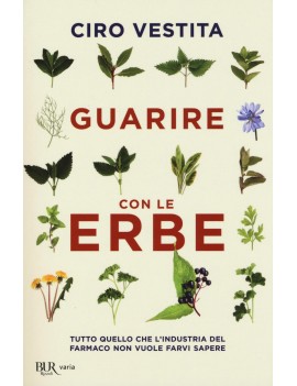 GUARIRE CON LE ERBE. TUTTO QUELLO CHE L'