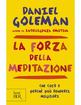 FORZA DELLA MEDITAZIONE (LA)