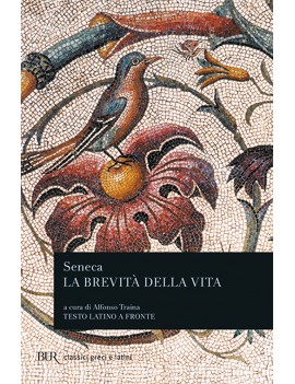 BREVITA' DELLA VITA (LA)