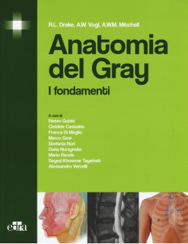 ANATOMIA del GRAY