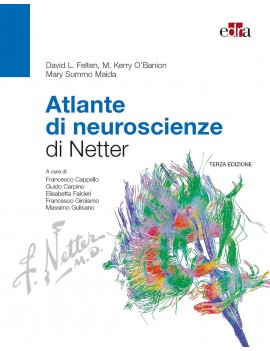 ATLANTE DI NEUROSCIENZE NETTER