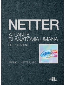 NETTER ATLANTE DI ANATOMIA UMANA