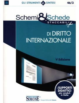 SCHEMI & SCHEDE DI DIRITTO INTERNAZIONAL