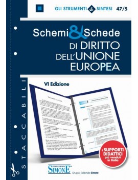 SCHEMI E SCHEDE DIRITTO DELL'UNIONE EURO