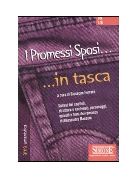 PROMESSI SPOSI (I)