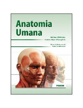 ANATOMIA UMANA