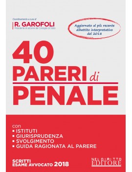 40 PARERI PENALE 2018